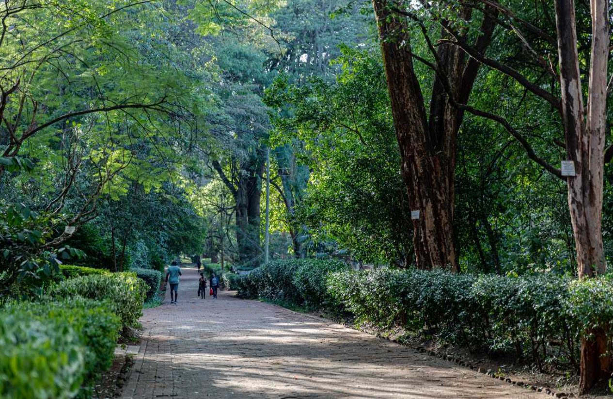 The Nairobi Arboretum, Nairobi, Kenya, Kenya